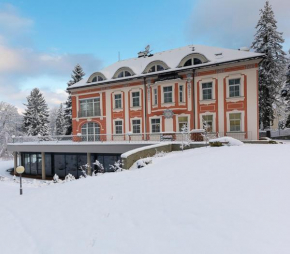 Wellness & Spa hotel Villa Regenhart, Jesenik